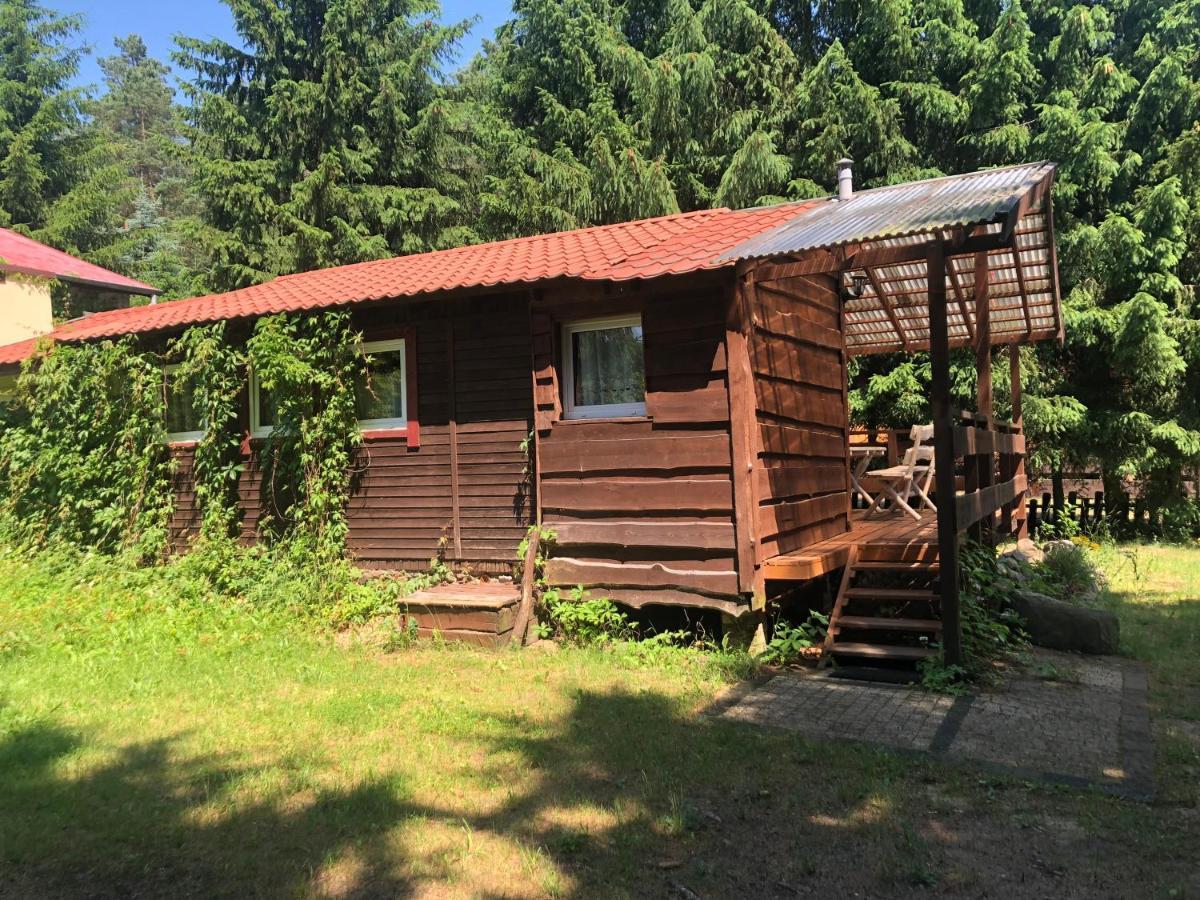 Vila Gosciniec Pod Debem Wilimy Exteriér fotografie