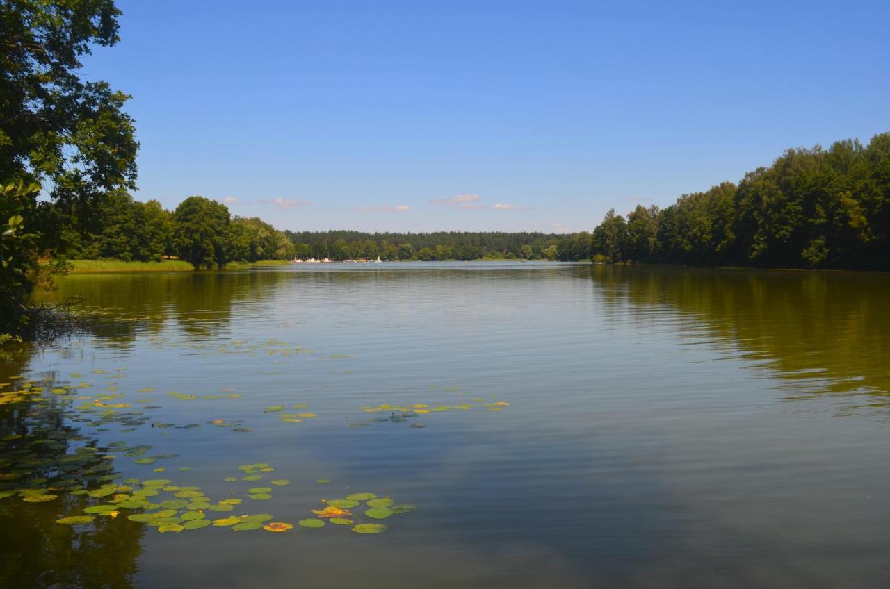 Vila Gosciniec Pod Debem Wilimy Exteriér fotografie